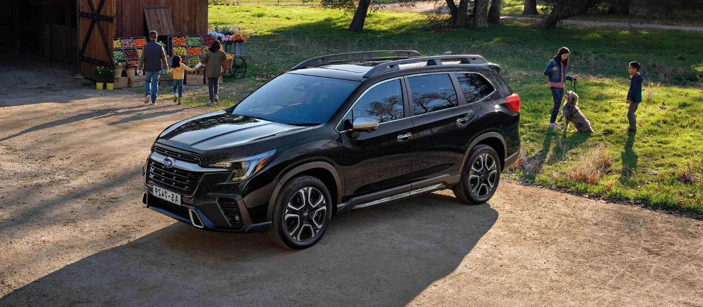 Subaru Evoltis aparcado en parque con familia disfrutando.